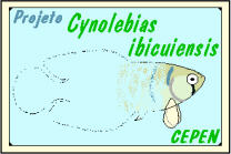 Projeto Cynolebias ibicuiensis