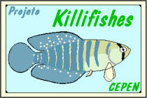 Projeto Killifishes